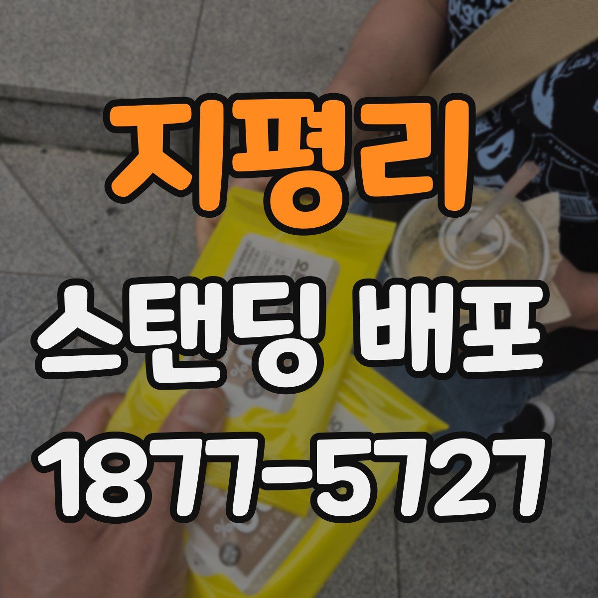 지평리 스탠딩 배포