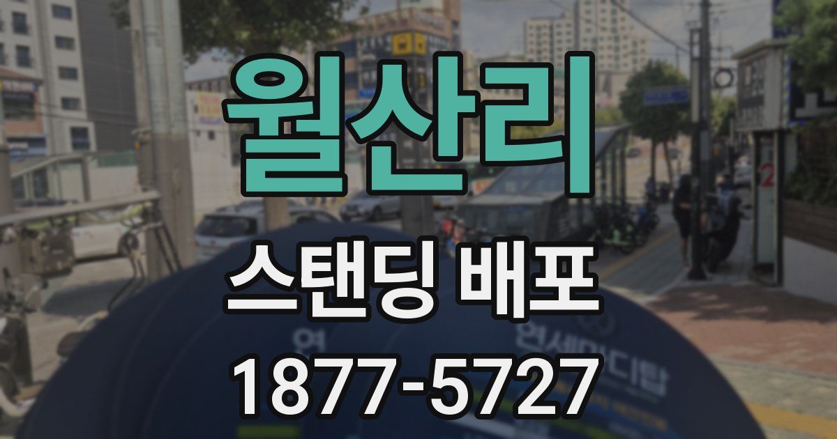 월산리 스탠딩 배포
