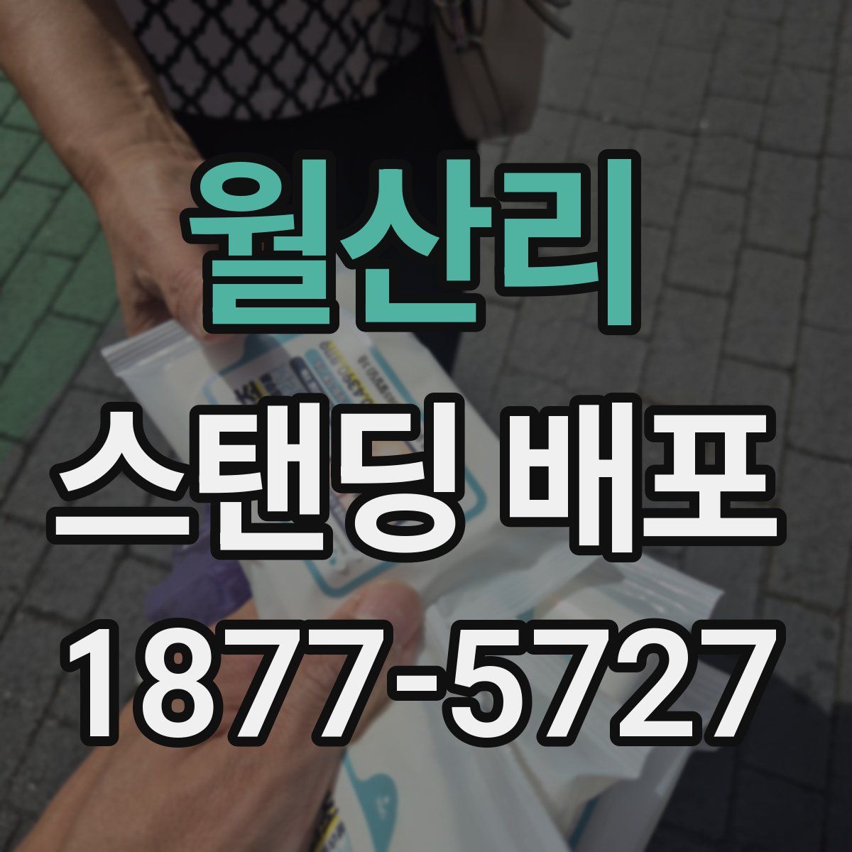 월산리 스탠딩 배포