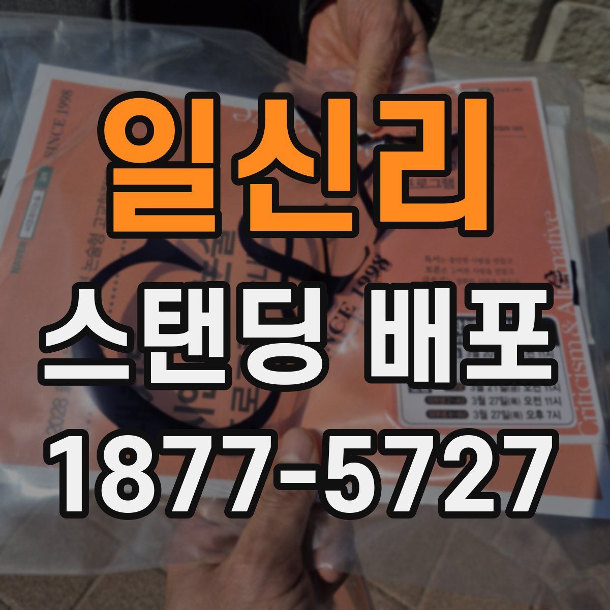 일신리 스탠딩 배포