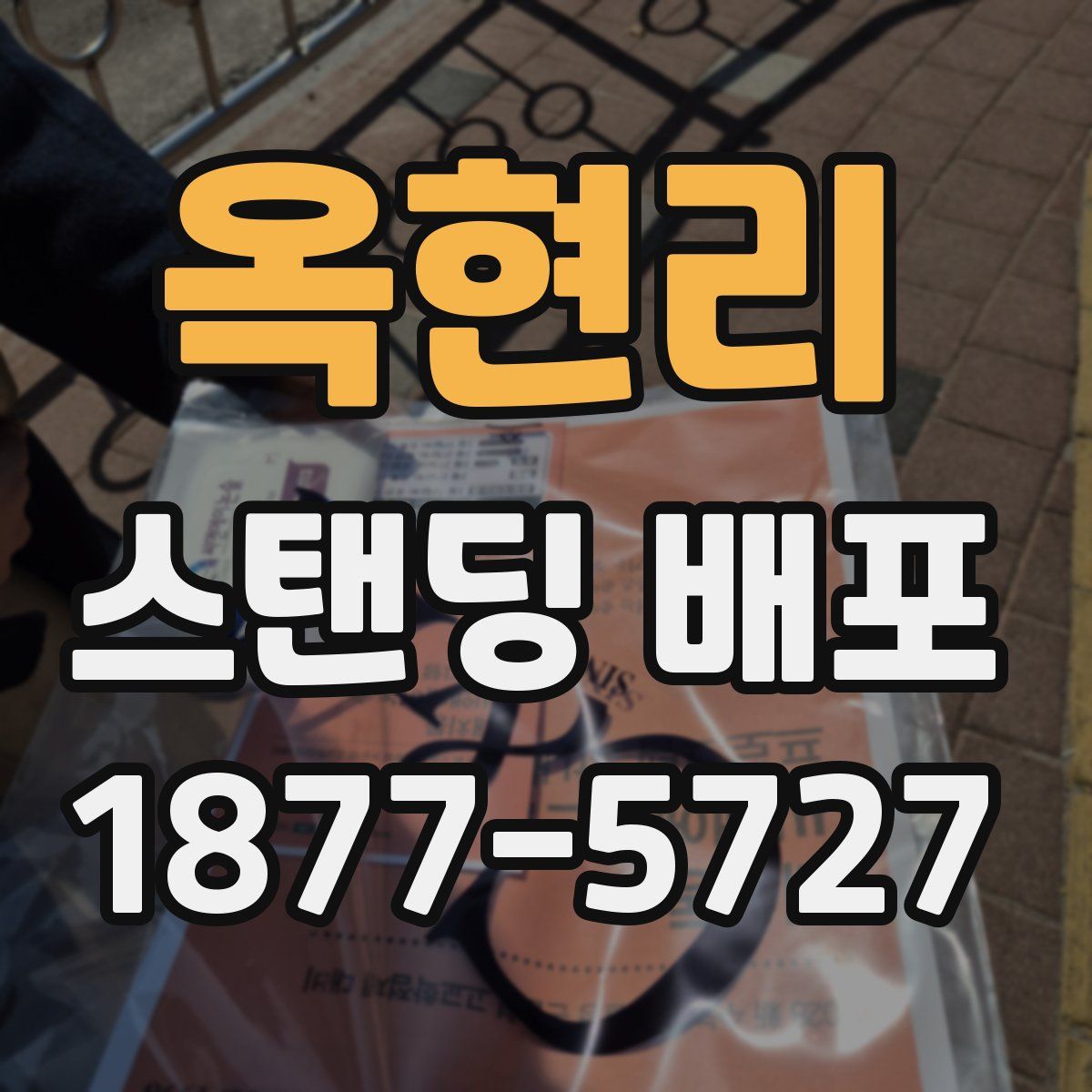 옥현리 스탠딩 배포