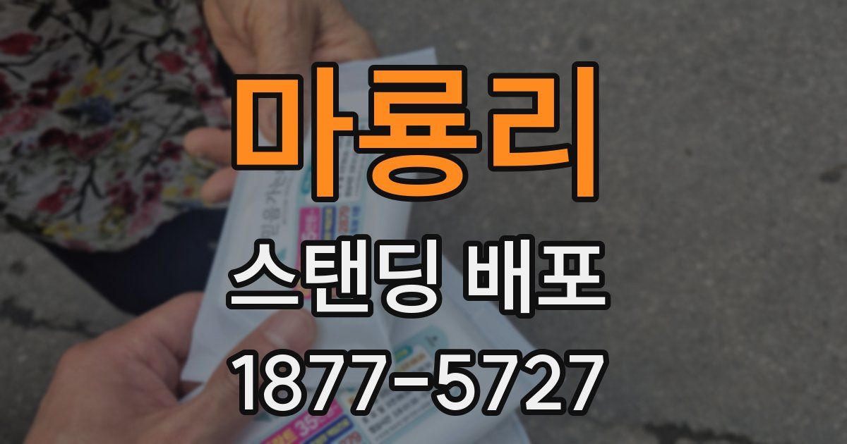 마룡리 스탠딩 배포