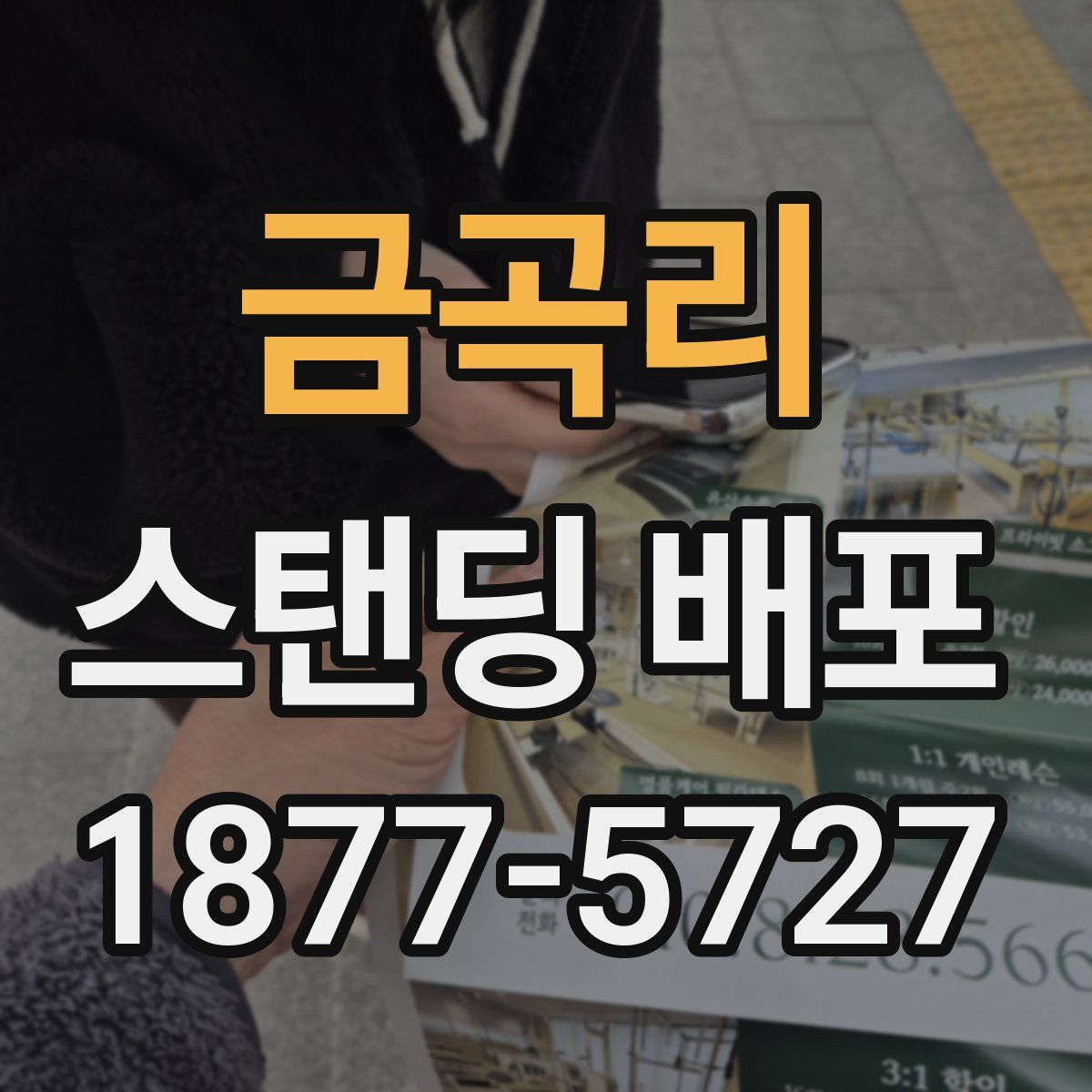 금곡리 스탠딩 배포