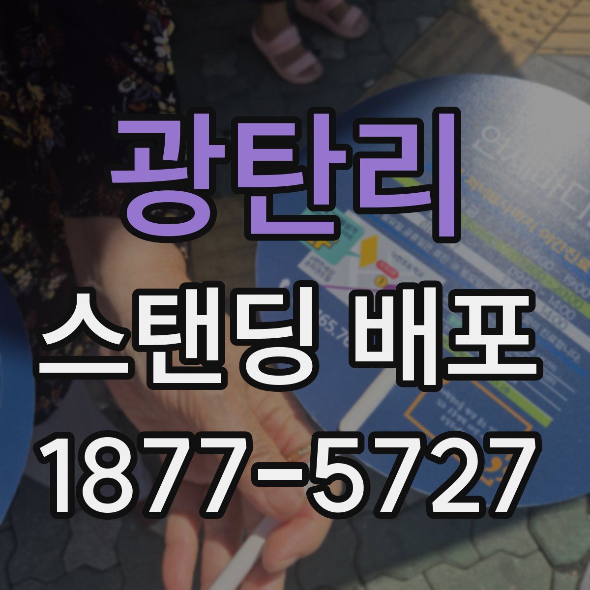 광탄리 스탠딩 배포