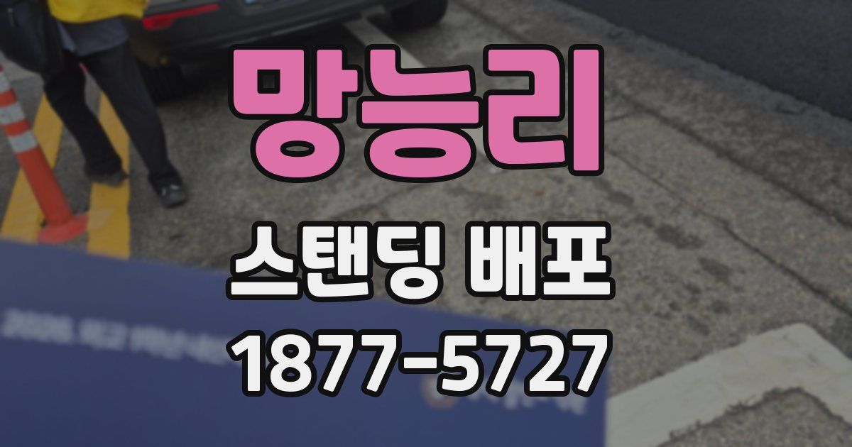 망능리 스탠딩 배포