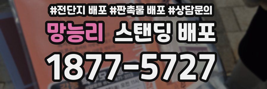 망능리 스탠딩 배포