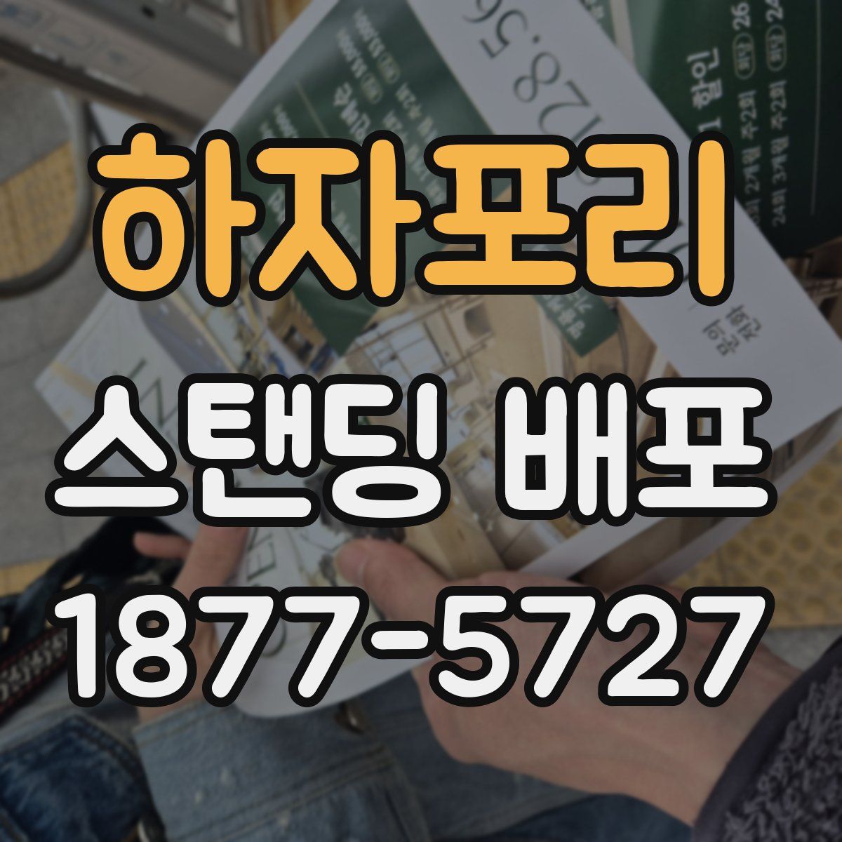 하자포리 스탠딩 배포
