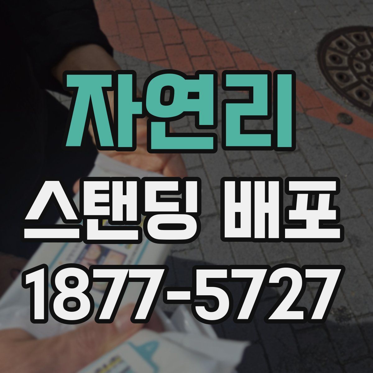 자연리 스탠딩 배포