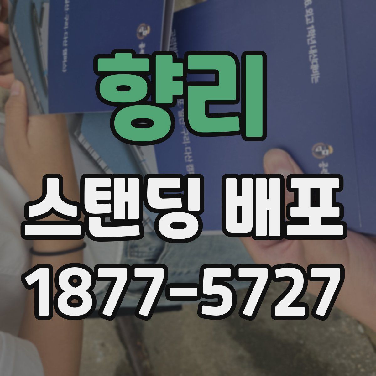 향리 스탠딩 배포
