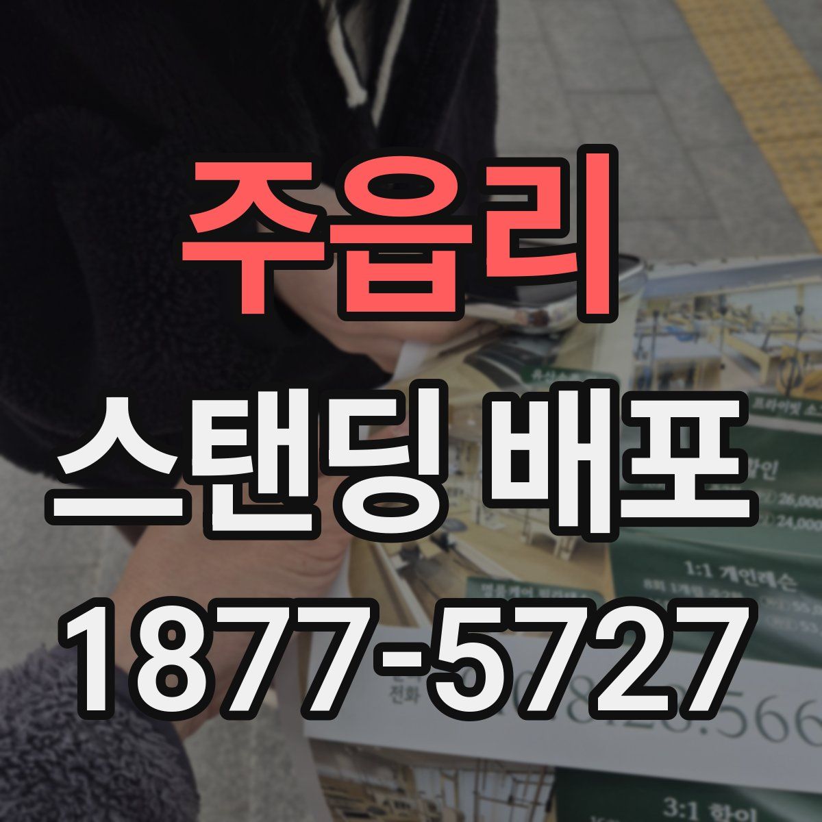 주읍리 스탠딩 배포