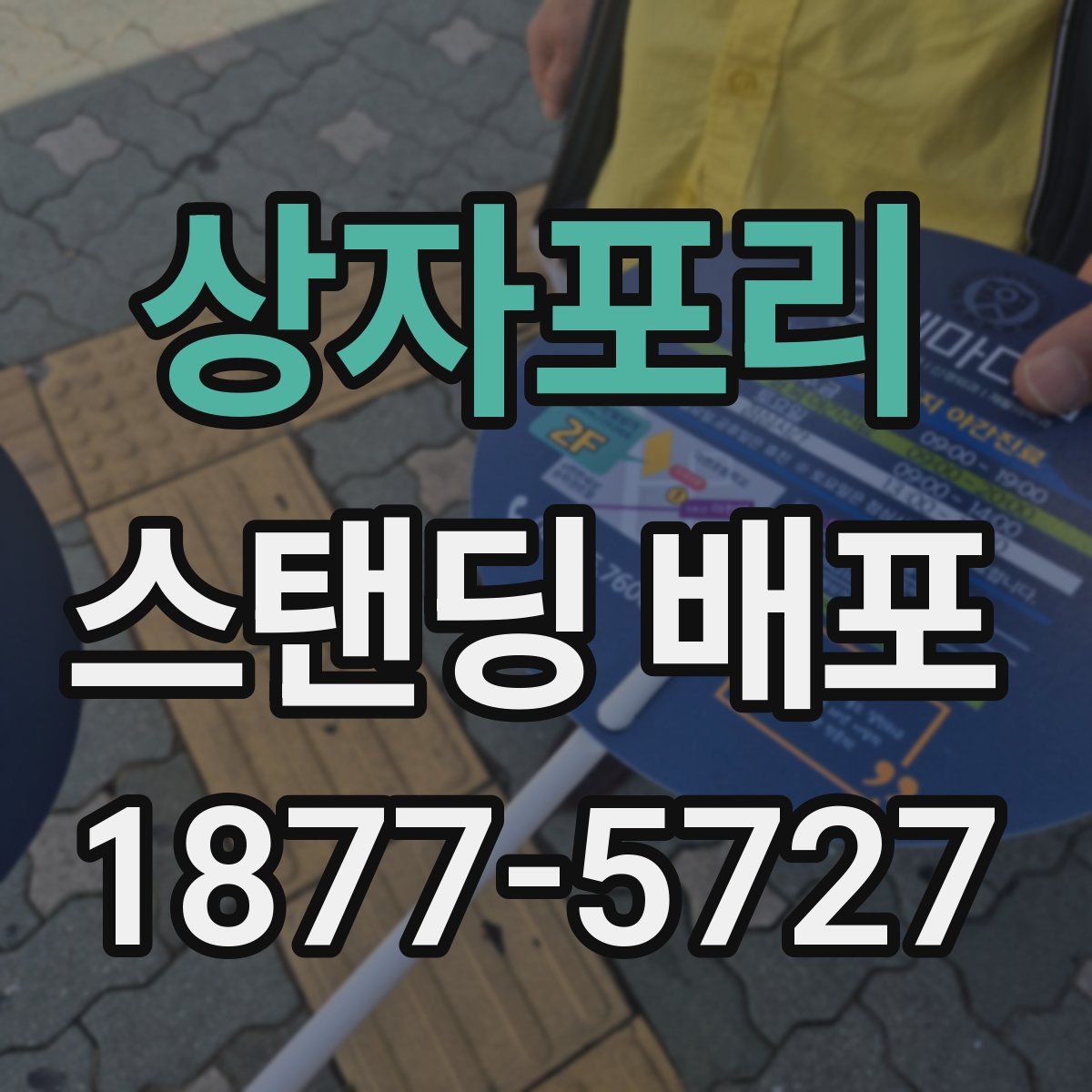상자포리 스탠딩 배포