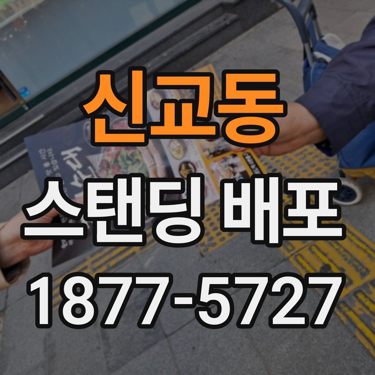 신교동 스탠딩 배포