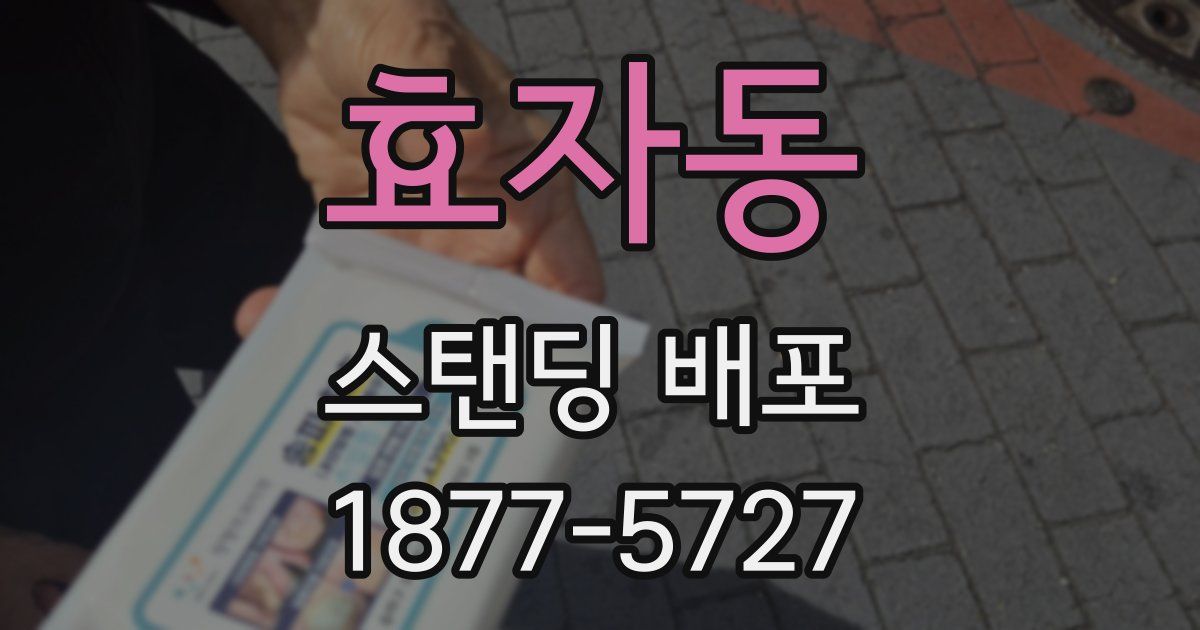 효자동 스탠딩 배포
