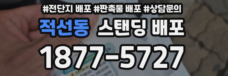 적선동 스탠딩 배포