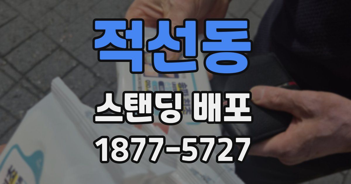적선동 스탠딩 배포