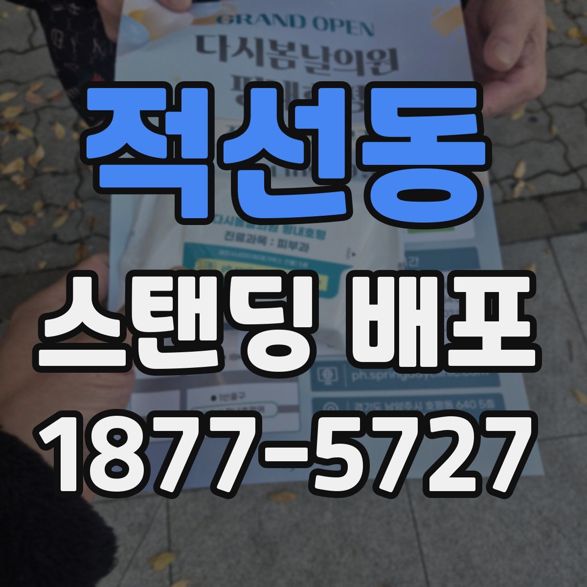 적선동 스탠딩 배포