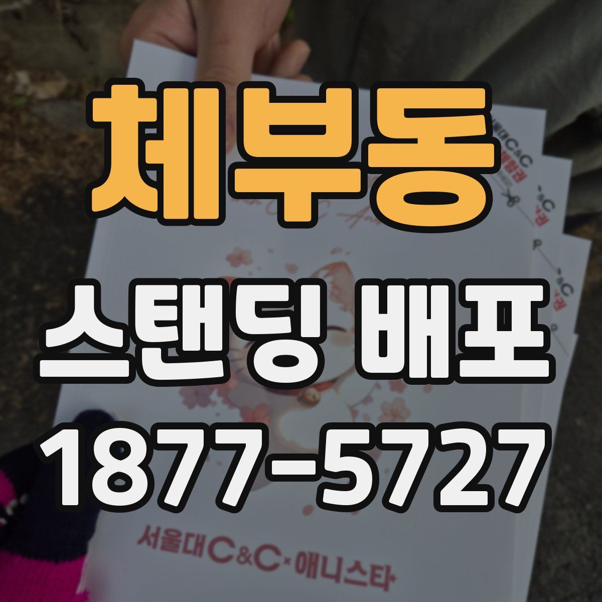 체부동 스탠딩 배포