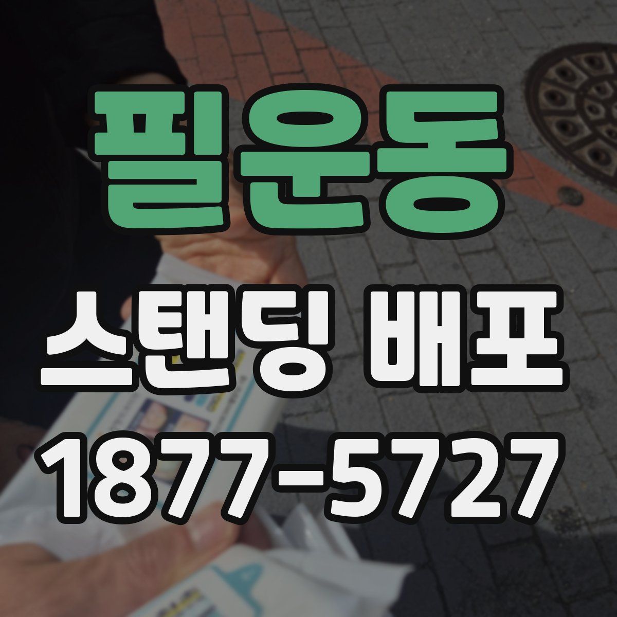 필운동 스탠딩 배포