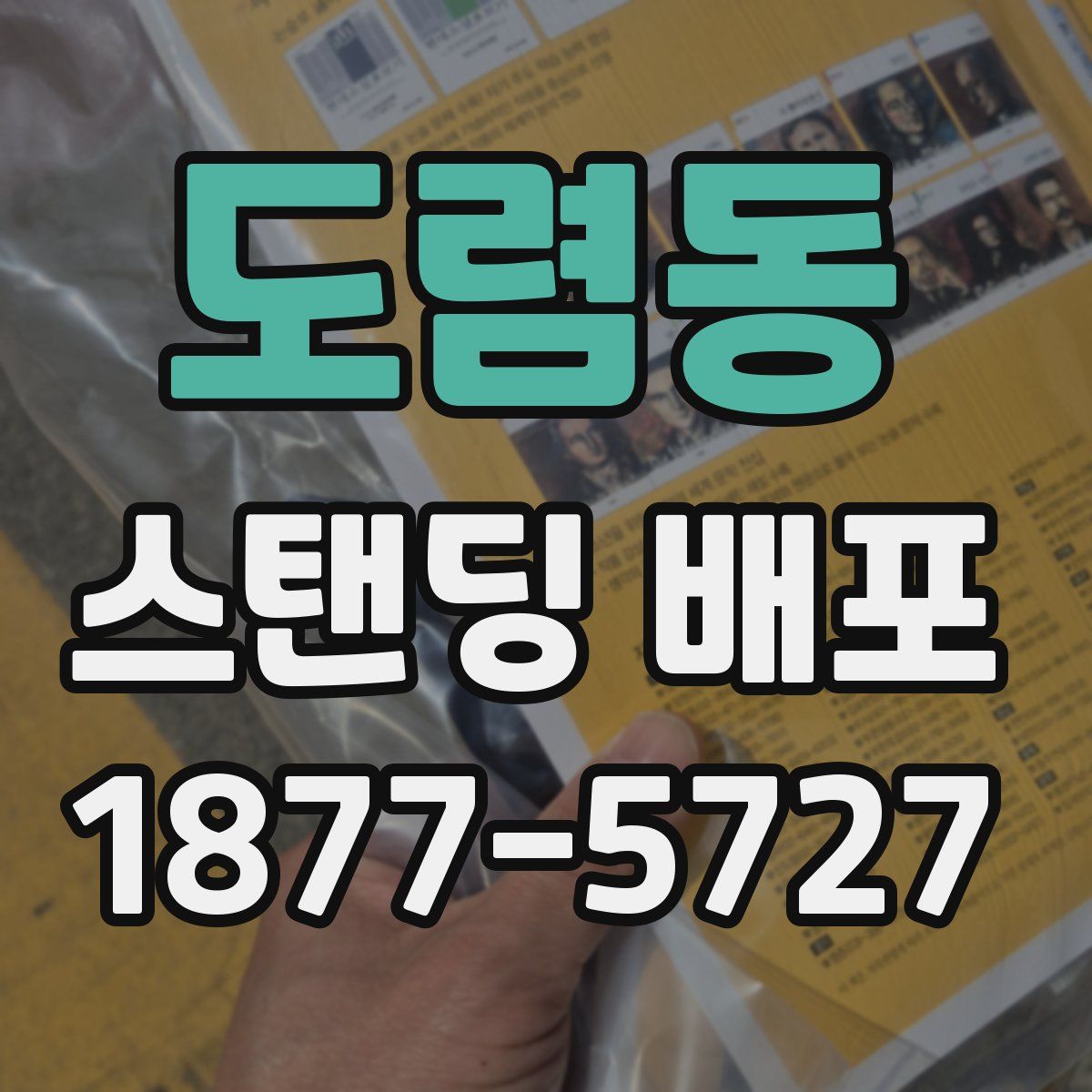 도렴동 스탠딩 배포