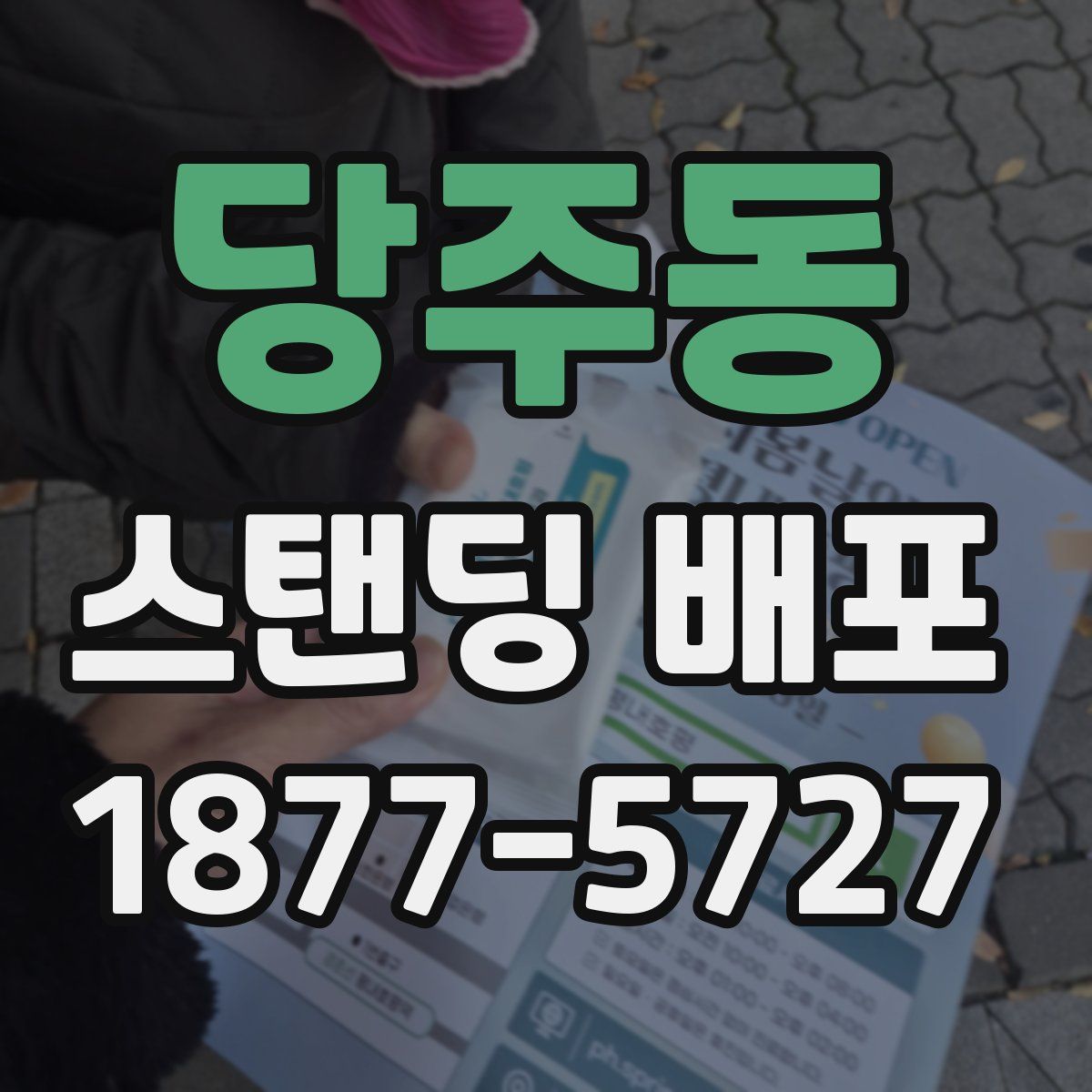 당주동 스탠딩 배포