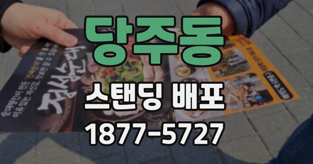 당주동 스탠딩 배포