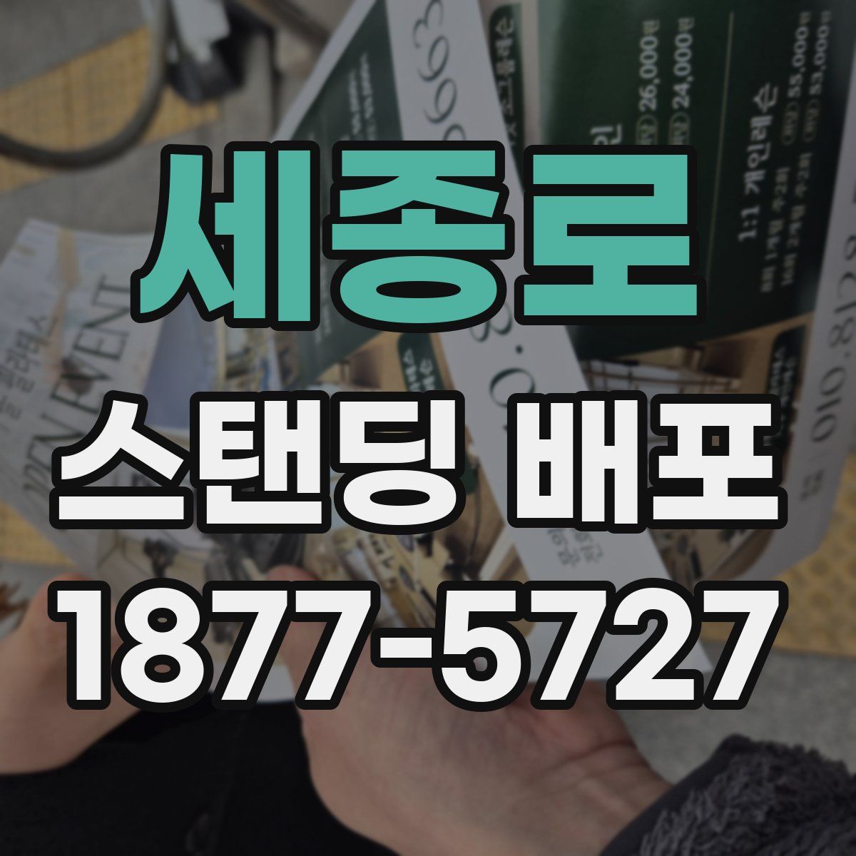 세종로 스탠딩 배포