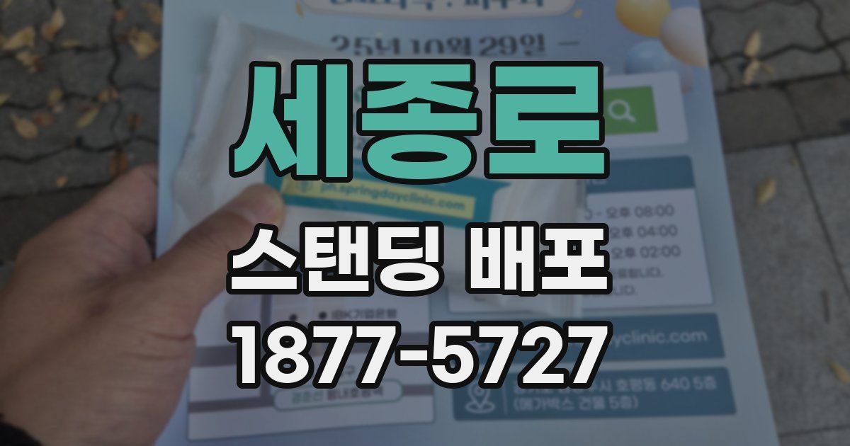 세종로 스탠딩 배포