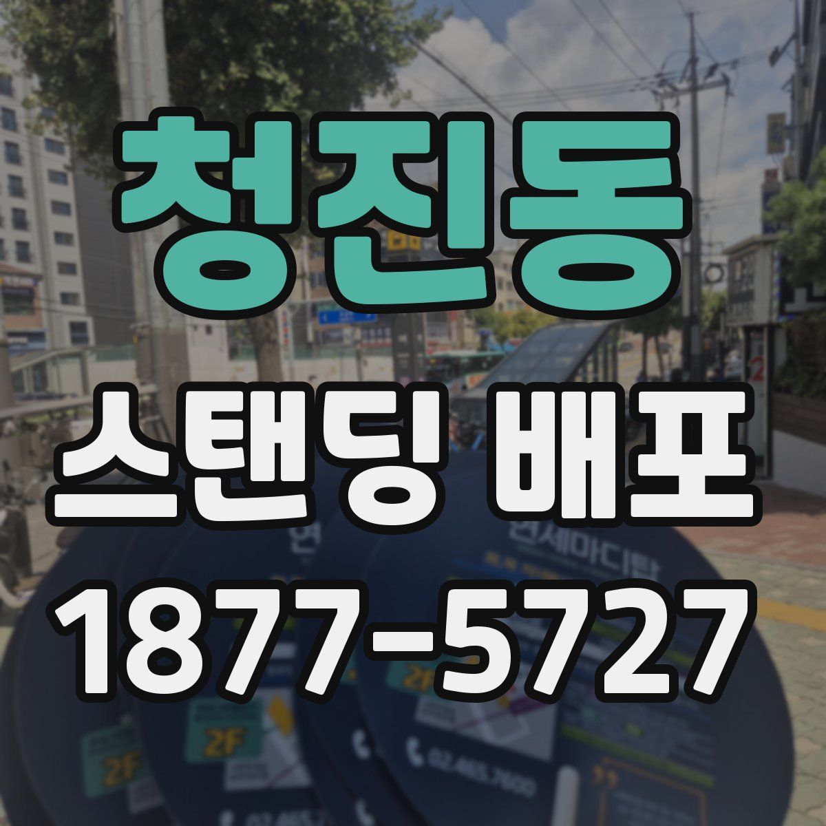 청진동 스탠딩 배포