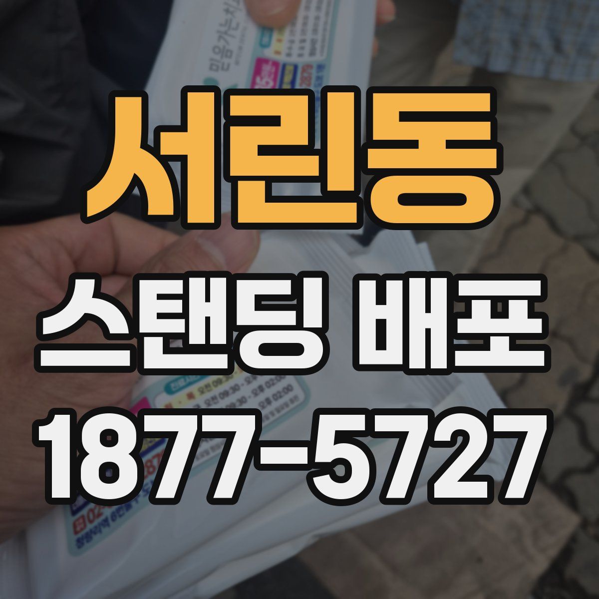 서린동 스탠딩 배포