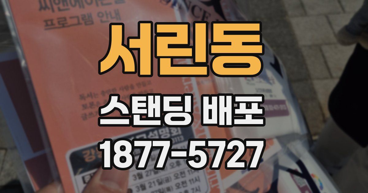 서린동 스탠딩 배포