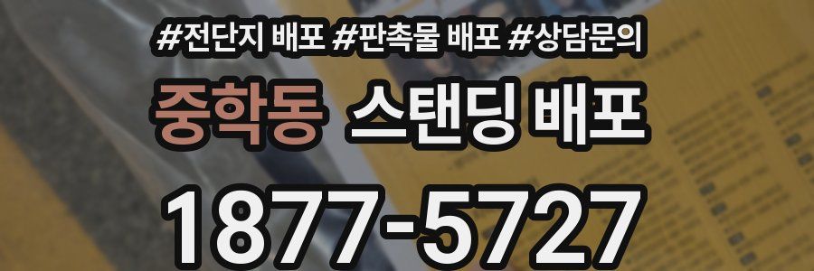 중학동 스탠딩 배포