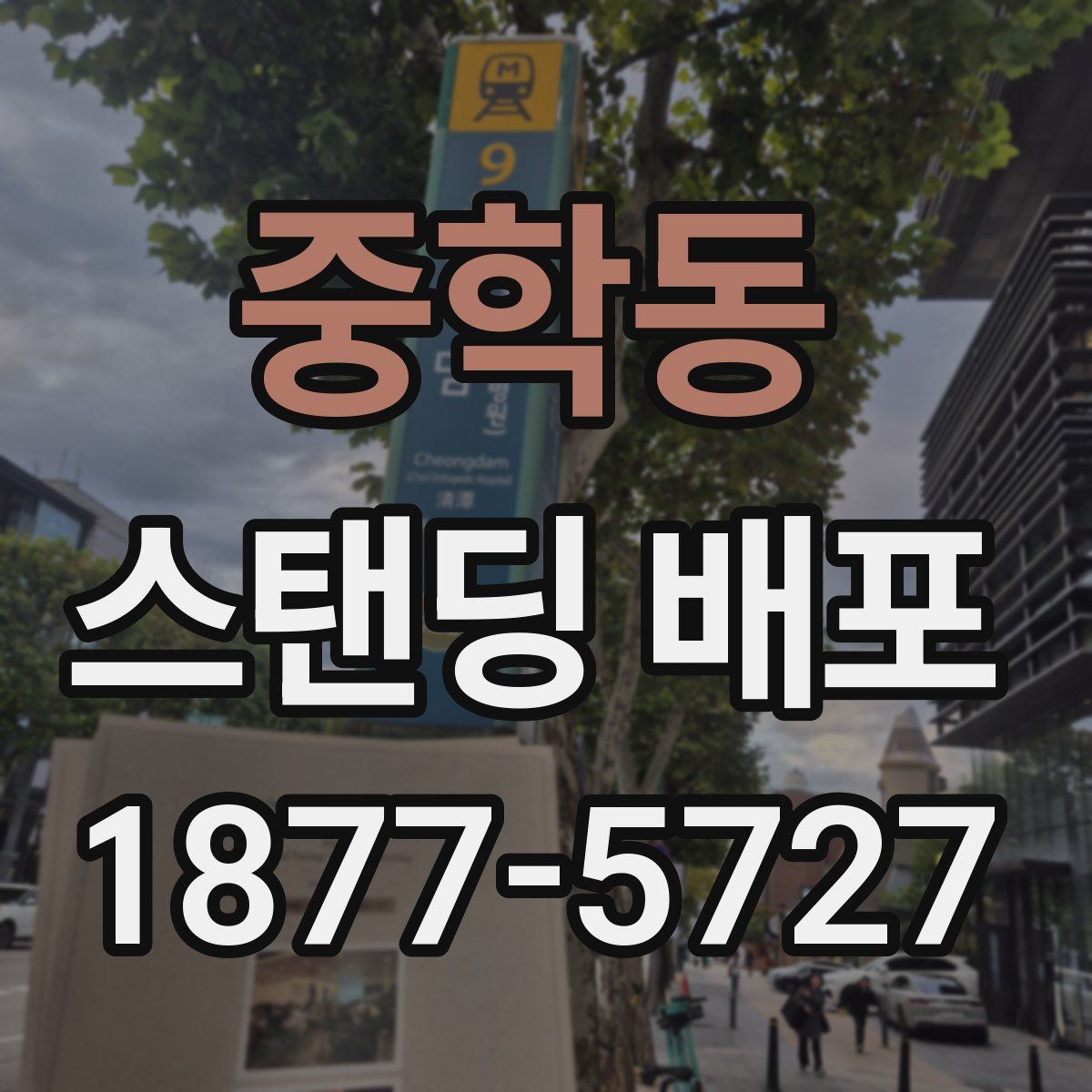 중학동 스탠딩 배포
