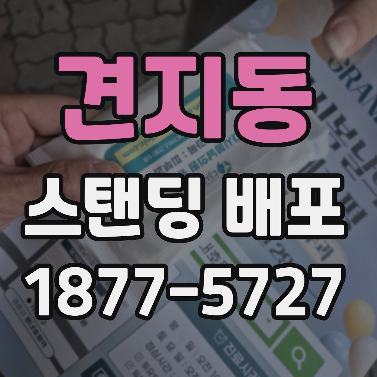 견지동 스탠딩 배포