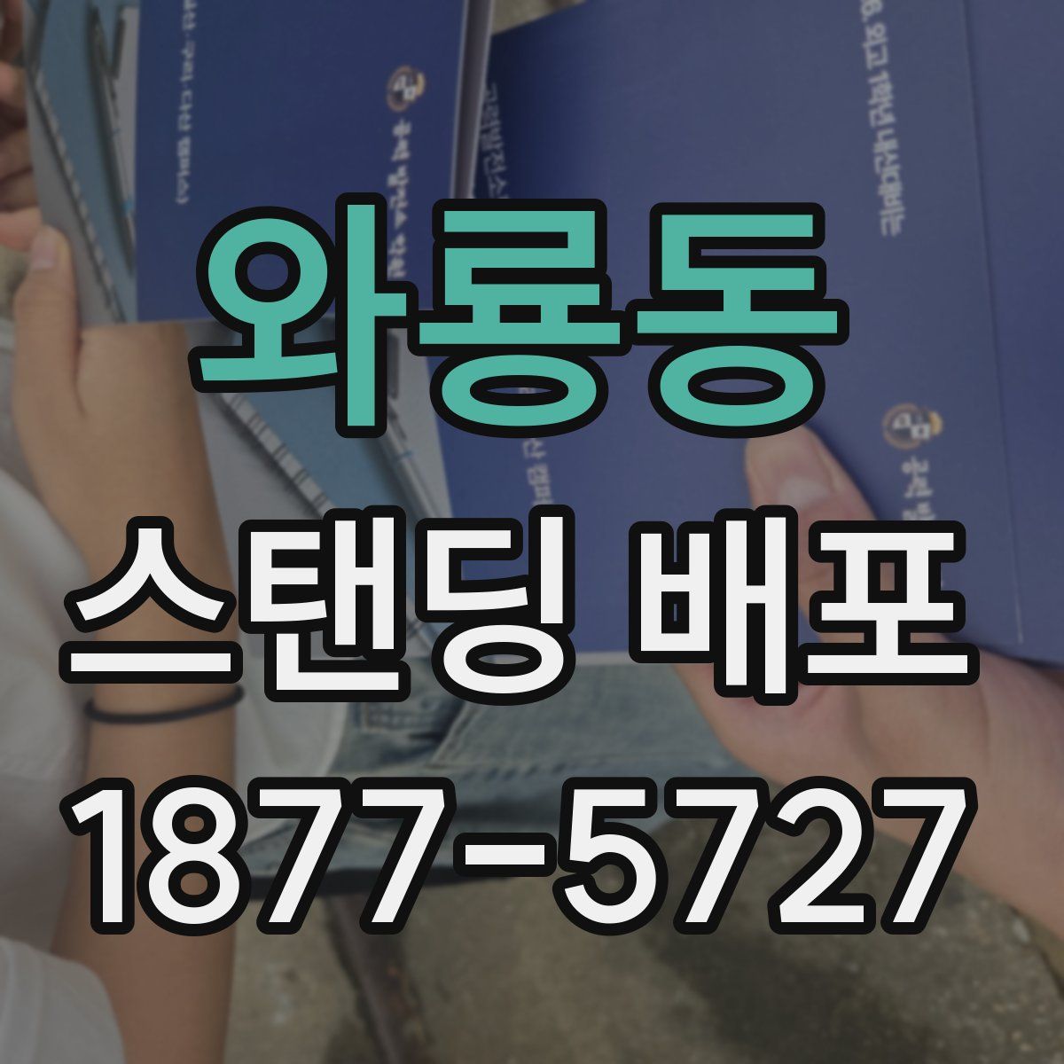 와룡동 스탠딩 배포