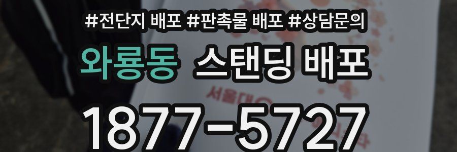 와룡동 스탠딩 배포