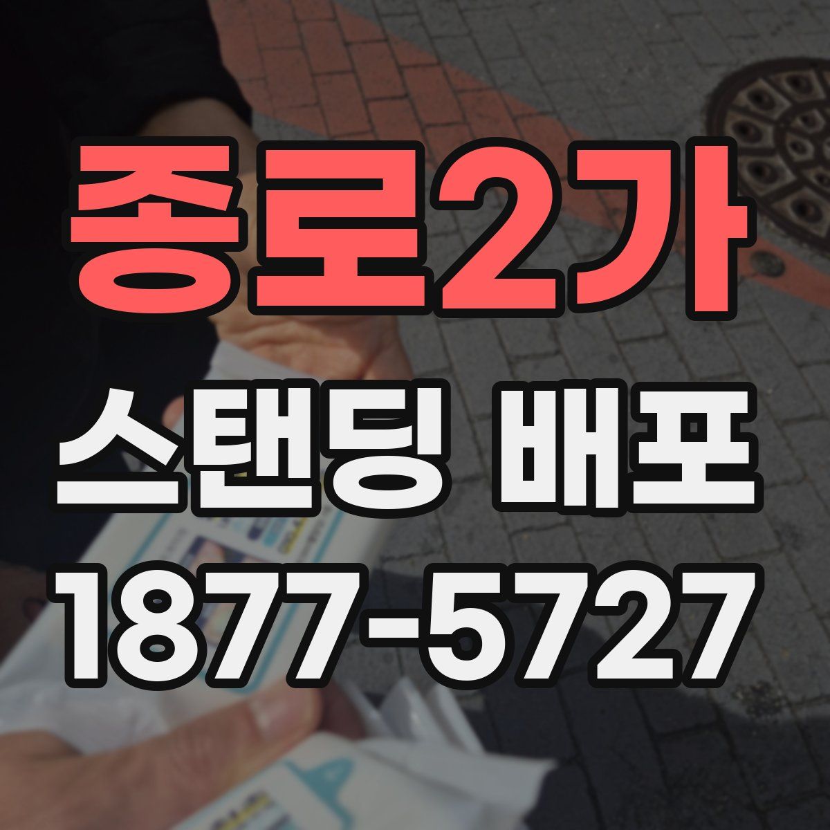 종로2가 스탠딩 배포