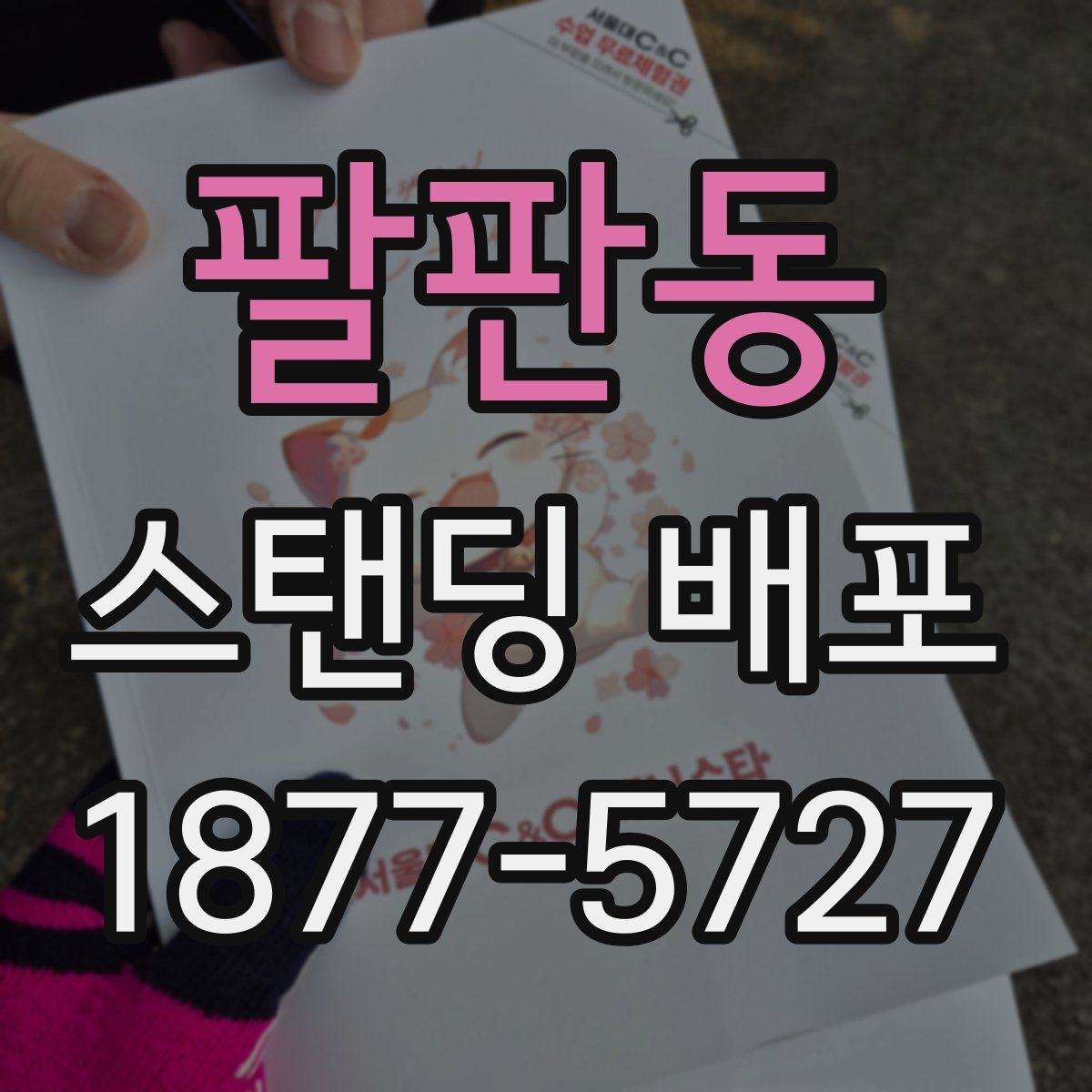 팔판동 스탠딩 배포