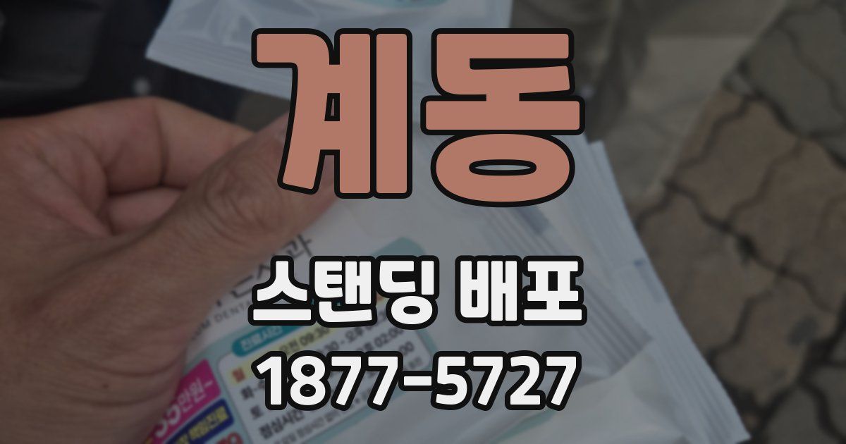 계동 스탠딩 배포