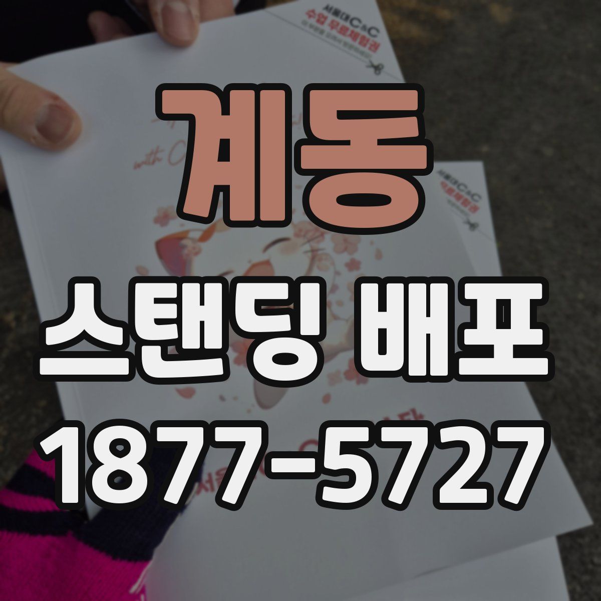 계동 스탠딩 배포