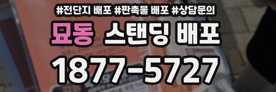 묘동 스탠딩 배포