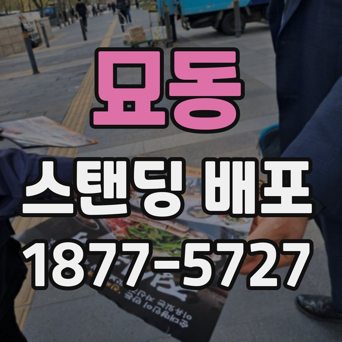 묘동 스탠딩 배포