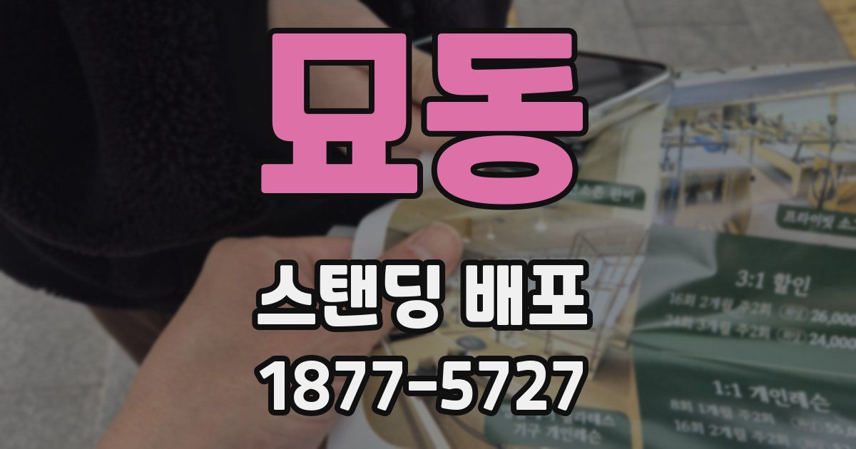 묘동 스탠딩 배포