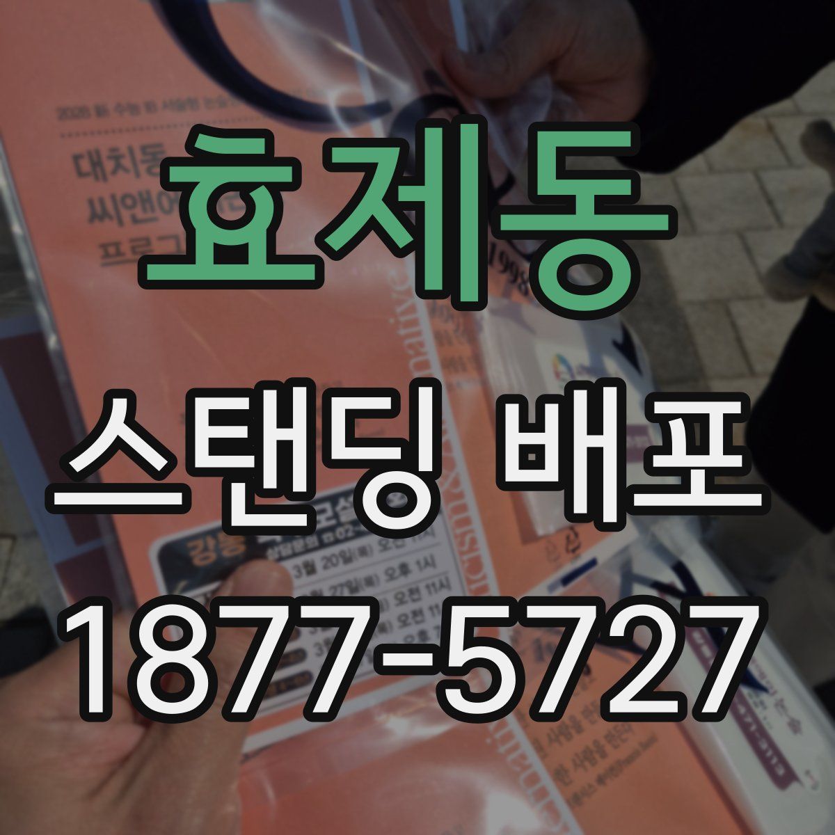 효제동 스탠딩 배포