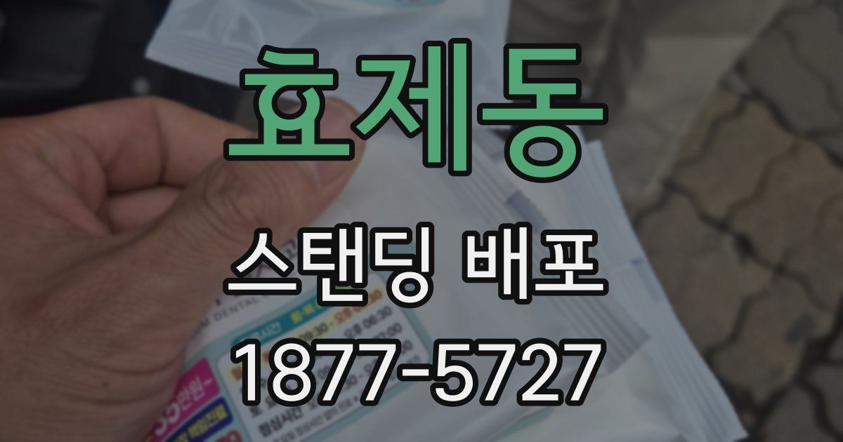 효제동 스탠딩 배포