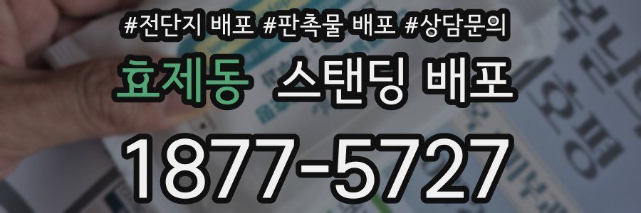 효제동 스탠딩 배포