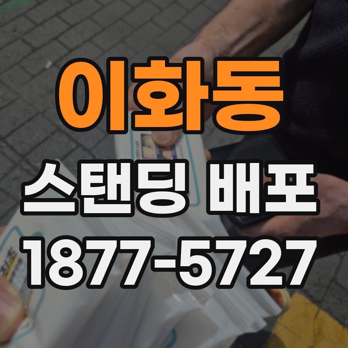 이화동 스탠딩 배포