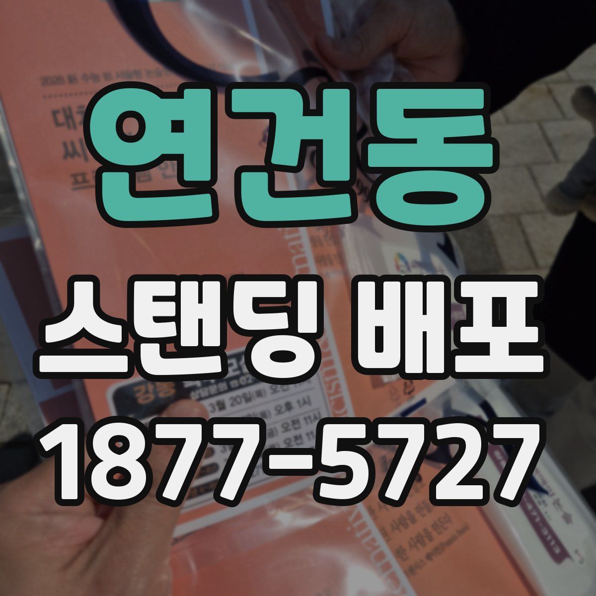 연건동 스탠딩 배포