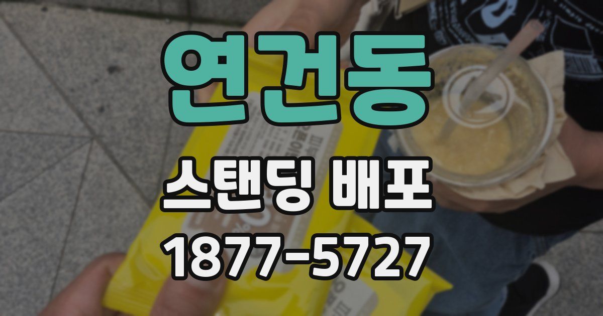 연건동 스탠딩 배포