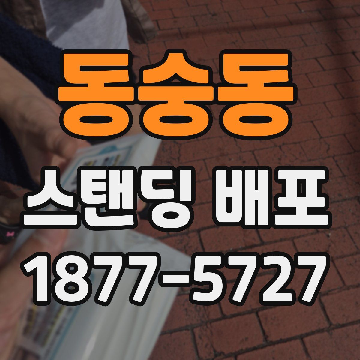 동숭동 스탠딩 배포