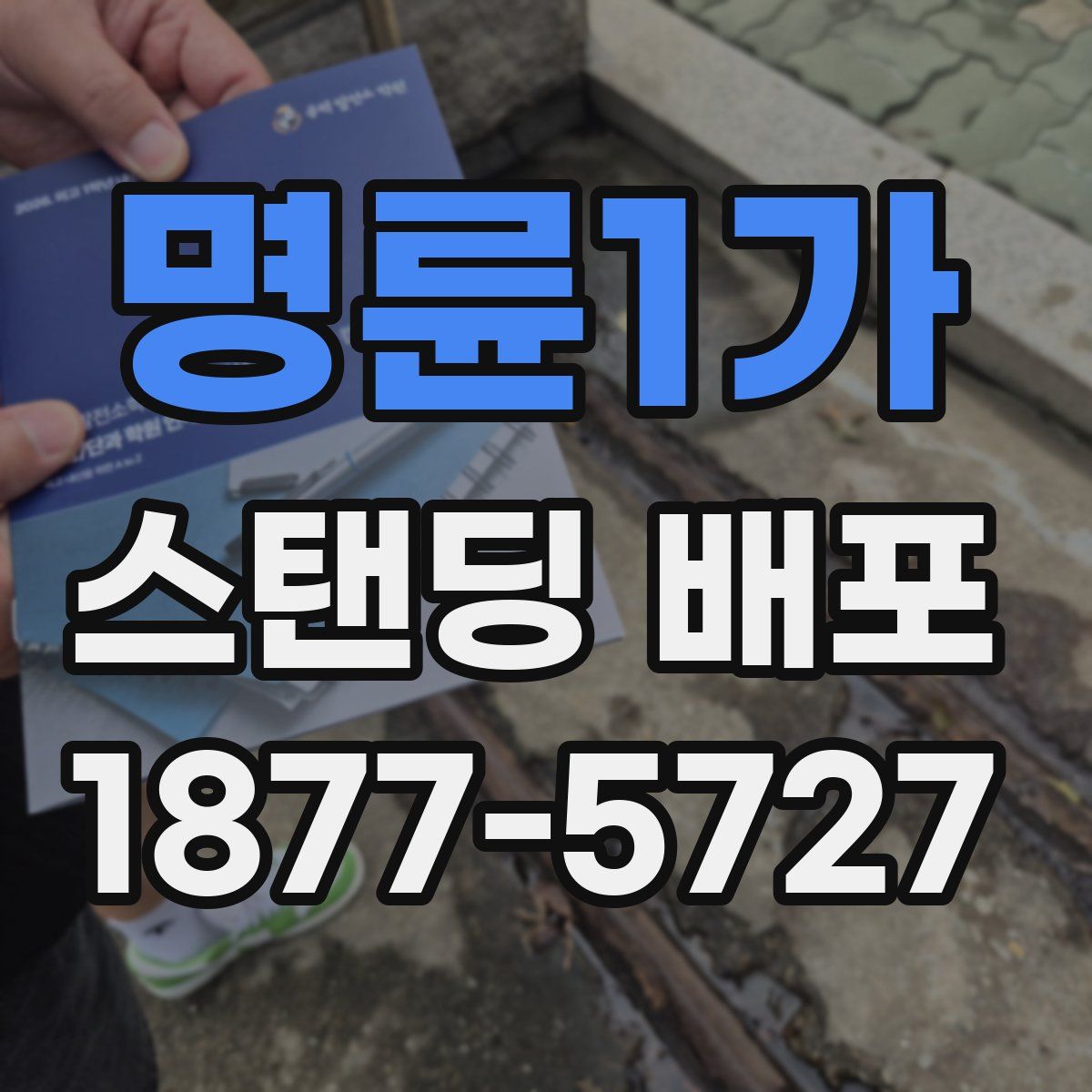 명륜1가 스탠딩 배포